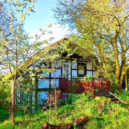 Natururlaub Frankenau المظهر الخارجي الصورة